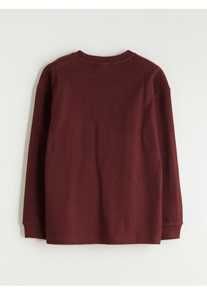 Lcw Yeni Mürdüm Bisiklet Yaka Dokulu Erkek Çocuk Tişört modelleri