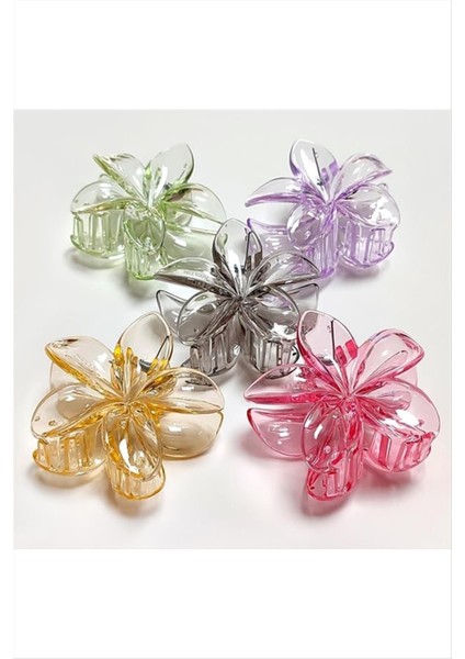 Lotus Toka 6 cm modelleri