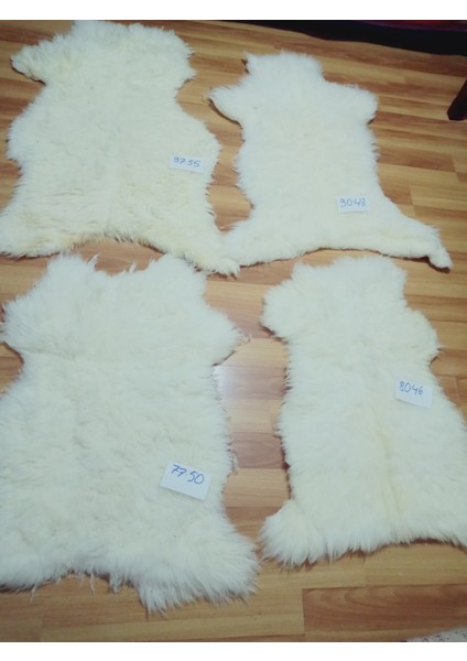 Doğal Işlenmemiş Hiç Kırpılmamış Gerçek Koyun Postu , Halı, Oldukça Etli Posteki fiyatları