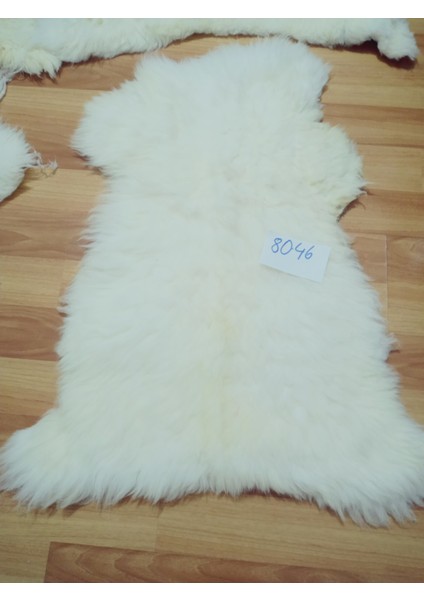 Doğal Işlenmemiş Hiç Kırpılmamış Gerçek Koyun Postu , Halı, Oldukça Etli Posteki