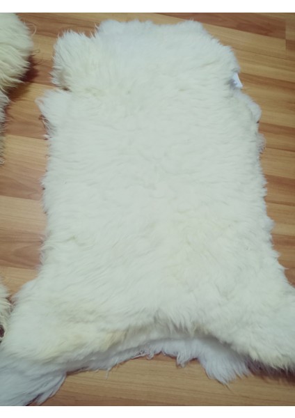 Doğal Işlenmemiş Hiç Kırpılmamış Gerçek Koyun Postu , Halı, Oldukça Etli Posteki