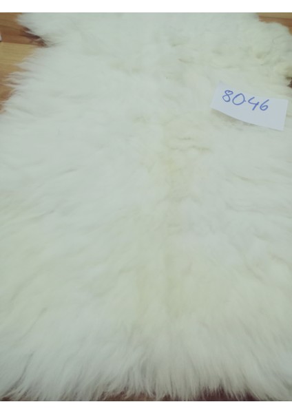 Doğal Işlenmemiş Hiç Kırpılmamış Gerçek Koyun Postu , Halı, Oldukça Etli Posteki modelleri