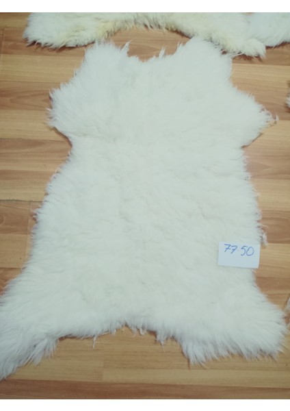 Doğal Işlenmemiş Hiç Kırpılmamış Gerçek Koyun Postu , Halı, Oldukça Etli Posteki fırsatları