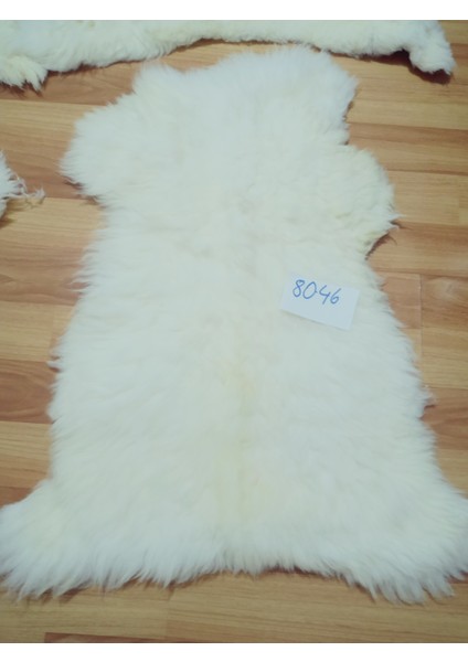 Doğal Işlenmemiş Hiç Kırpılmamış Gerçek Koyun Postu , Halı, Oldukça Etli Posteki