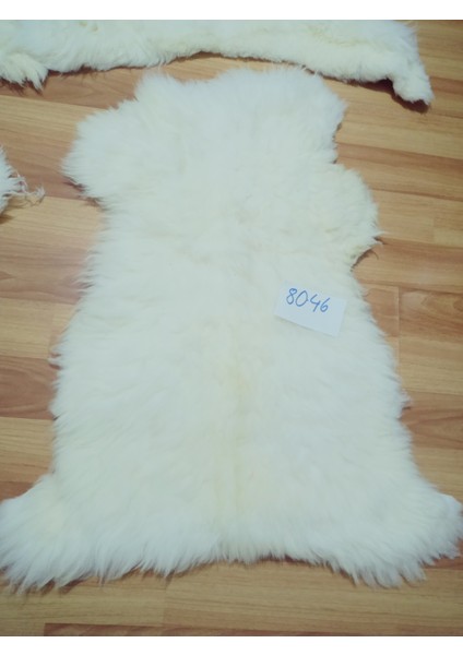 Doğal Işlenmemiş Hiç Kırpılmamış Gerçek Koyun Postu , Halı, Oldukça Etli Posteki