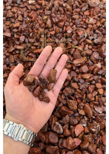 Kırmızı Bordo Dolomit Çakıl Taşı 1-3 cm 5 kg Dekoratif Bahçe Peyzaj Saksı Akvaryum Teraryum