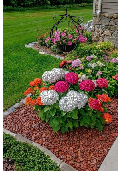 Kırmızı Bordo Dolomit Çakıl Taşı 1-3 cm 5 kg Dekoratif Bahçe Peyzaj Saksı Akvaryum Teraryum indirimleri