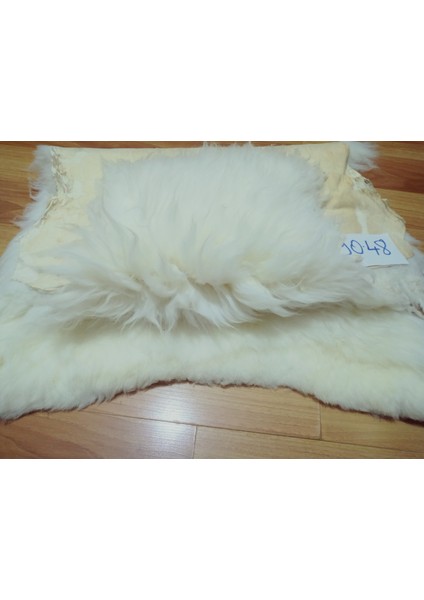 Doğal Işlenmemiş Hiç Kırpılmamış Gerçek Koyun Postu , Halı, Oldukça Etli Posteki