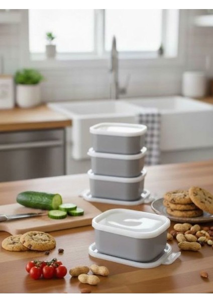 Aden Gri 4 Adet Saklama Kabı Seti - Sızdırmaz Kapaklı Kahvaltılık Çerezlik Saklama
