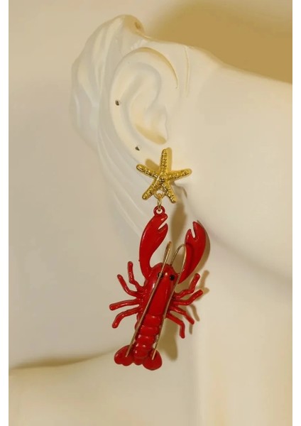 Özel Seri Marka Küpe fiyatları