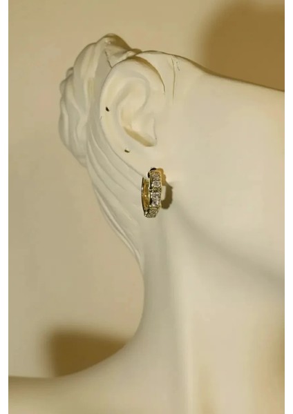 Çelik X Küpe Çift Renk fiyatları