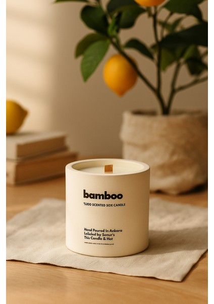 : Bamboo : Modern Beyaz Beton Mum (Limon Çiçeği, Şampaka, Sedir, Lime) fiyatları