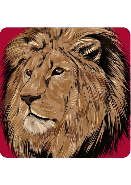 Galatasaray 2`li Patch U241397 fiyatları