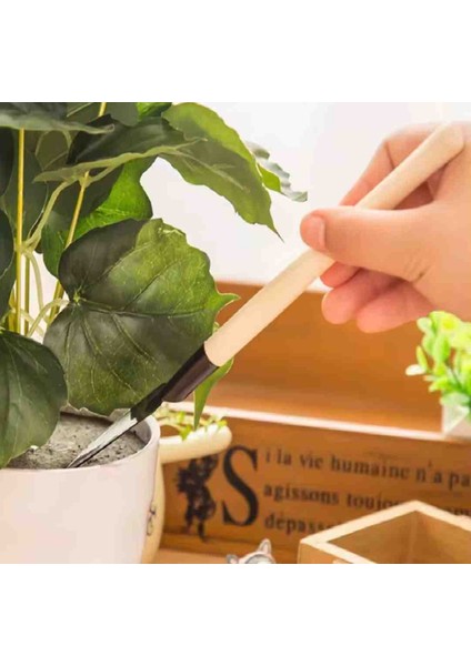 Mini Ahşap Saplı Saksı Çiçek Bahçe Bitki Hobi Seti 3 Parça fırsatları