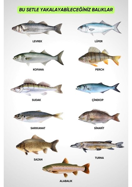 35 Parça Tam Takım Olta Seti - 300CM Kamış 30-60GR / 40'lık Makine - Tüm Deniz ve Göller Için modelleri