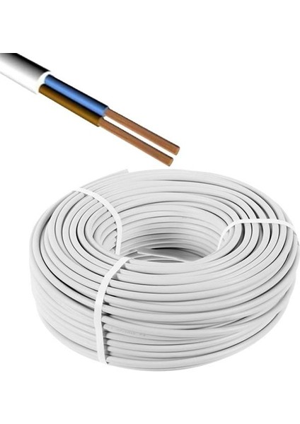 Powermaster 2x2.5 Cu Bakır Ttr Kablo (100 Metre)