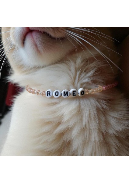 Isma Özel Tasarım Kedi Köpek Tasması modelleri