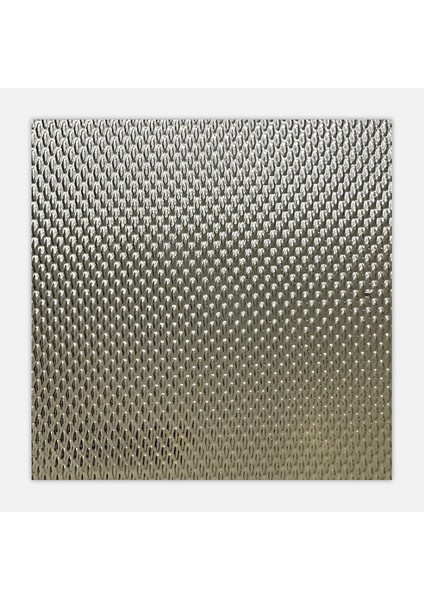 Pinhead Fon Camı Vfc-12