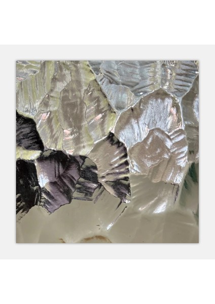 Belçika Açık Şarabi Oceanic Tp 10