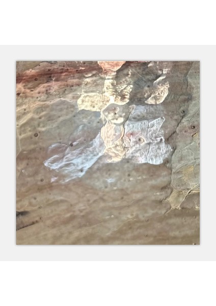 W67LLG Açık Şarabi Katedral