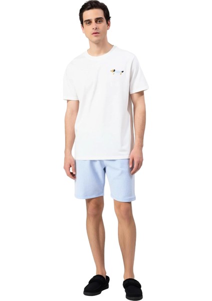 Erkek Çizgili Şortlu Pijama Takımı Köpek Detaylı Fonksiyonel Dayanıklı Kaliteli Konforlu Şık fiyatları