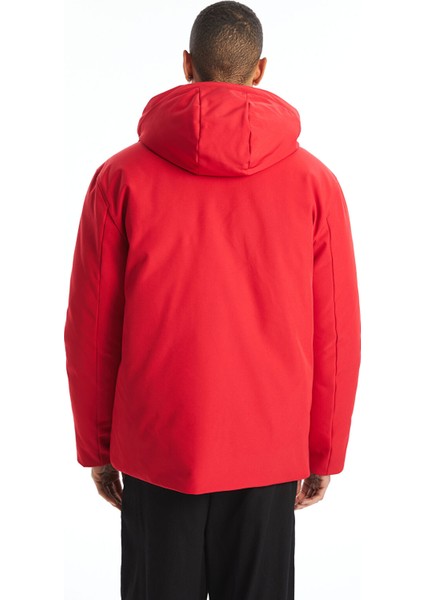 Yeni Sezon Standart Kalıp Kapüşonlu Erkek Mont indirimleri