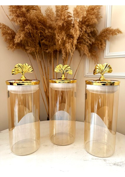 Premium Kristal Amber Cam Dekoratif Kilitli Vakumlu Kavanoz Tekli