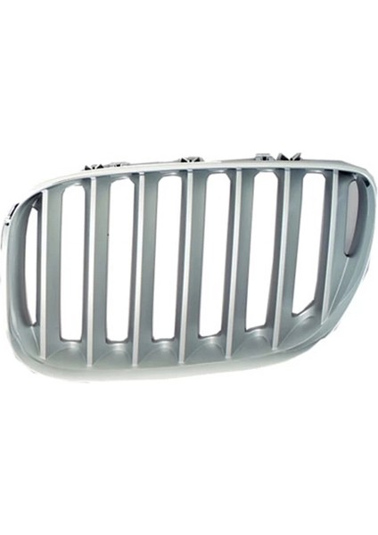 Bmw Panjur X5:E53 Sol Krom/titan 2004-06