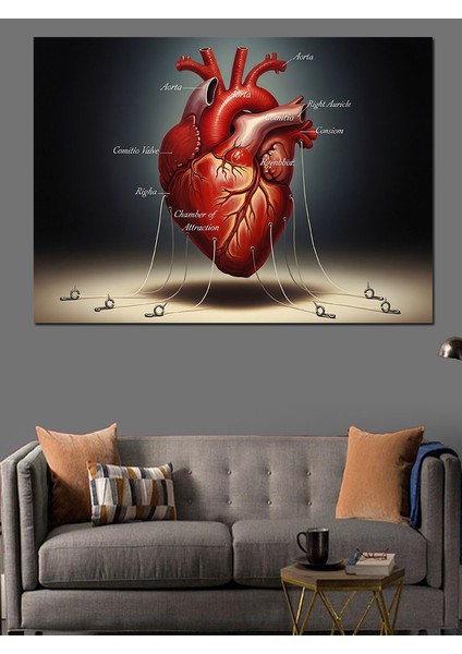 Insan Kalbi Tıbbi Çizim Dekoratif Kanvas - Mdf Ahşap Tablo