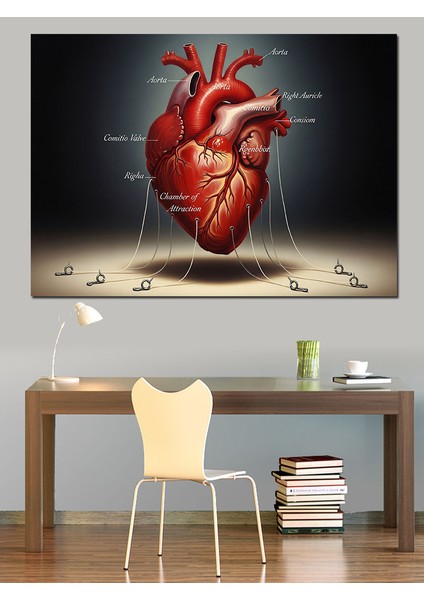 Insan Kalbi Tıbbi Çizim Dekoratif Kanvas - Mdf Ahşap Tablo fiyatları
