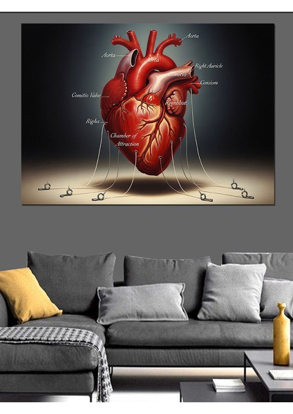 Insan Kalbi Tıbbi Çizim Dekoratif Kanvas - Mdf Ahşap Tablo modelleri