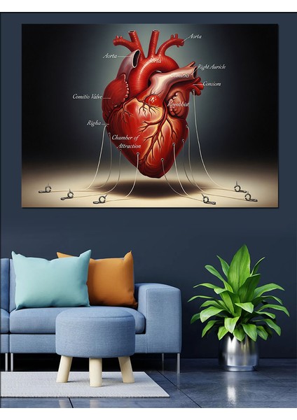 Insan Kalbi Tıbbi Çizim Dekoratif Kanvas - Mdf Ahşap Tablo indirimleri