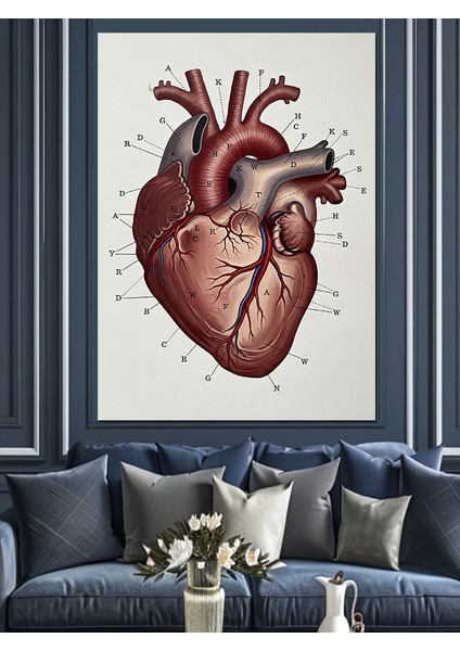 Kalp Anatomik Detaylı Sanat Dekoratif Kanvas - Mdf Ahşap Tablo fırsatları