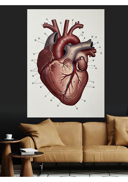 Kalp Anatomik Detaylı Sanat Dekoratif Kanvas - Mdf Ahşap Tablo indirimleri