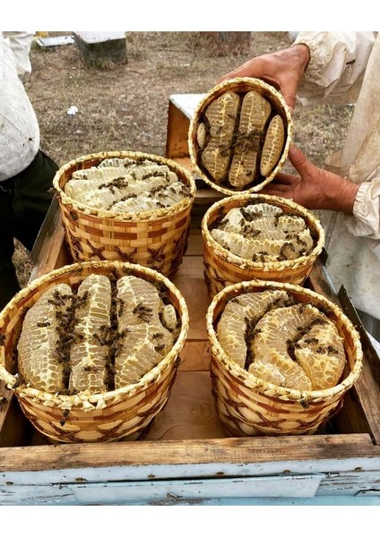 🍯 Bitlis Hizan Karakovan Doğal Yayla Balı: Doğanın En Saf Hediyesi