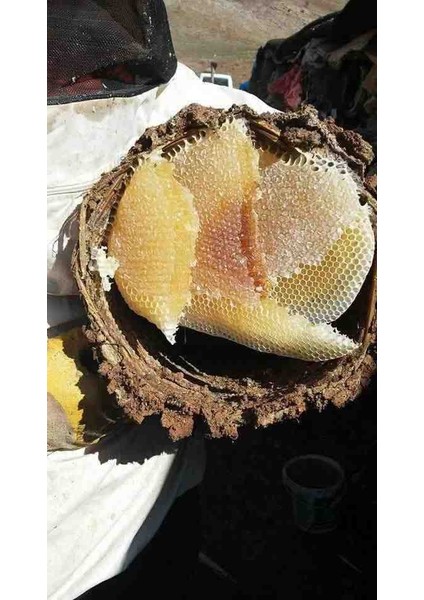 🍯 Bitlis Hizan Karakovan Doğal Yayla Balı: Doğanın En Saf Hediyesi fiyatları