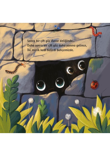 Bahçemizin Misafirleri Resimli Hikâye Kitabı / 3 Yaş + indirimleri