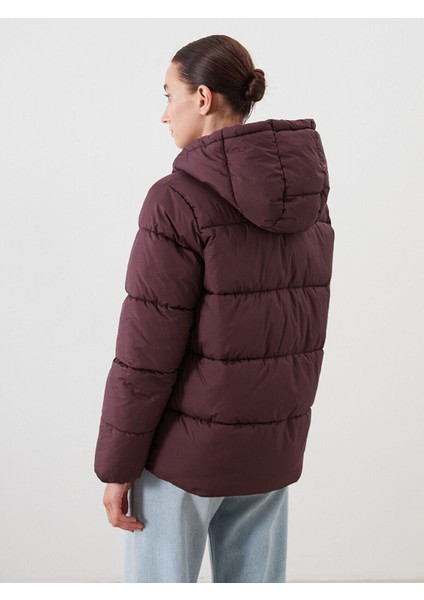 Yeni Sezon Kapüşonlu Kadın Şişme Mont indirimleri