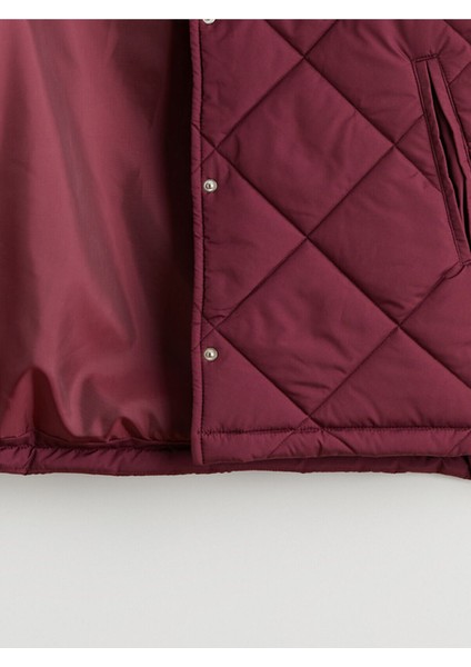 Artı Yeni Sezon Kapüşonlu Kapitone Kadın Şişme Mont fiyatları