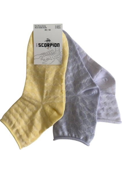 Kadın Desenli Kısa Konç Çorap 3’lü Set – Pamuklu, Nefes Alan, Renkli & Çoklu Varyant