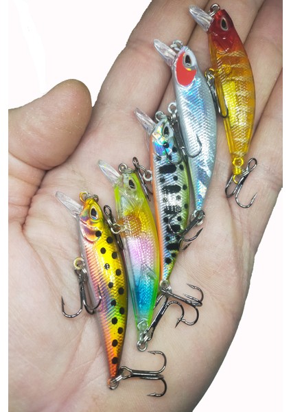 5 Adet Kutulu Lrf ve Spin Suni Rapala 5.8 cm 5.4 gr Balık Yem Seti