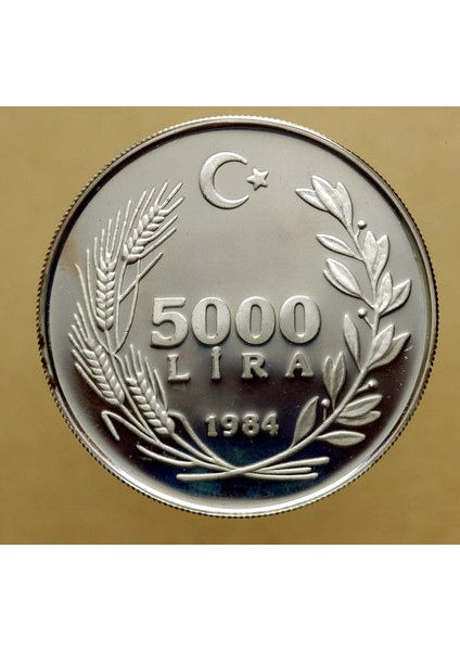 Kadınların 10 Yılı 5000 TL1984 Hatıra Parası Sertifikasız *gümüş fiyatları