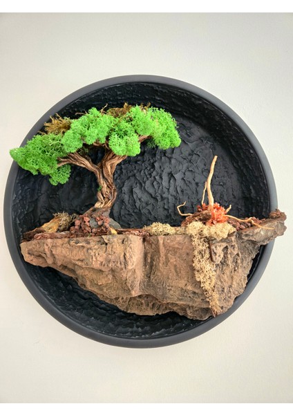 El Yapımı Driftwood Bonsai – Doğal Kayalık & Yeşil Yosunlu Duvar Dekoru - Tablo