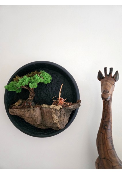 El Yapımı Driftwood Bonsai – Doğal Kayalık & Yeşil Yosunlu Duvar Dekoru - Tablo fiyatları