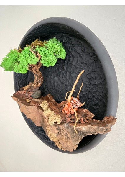 El Yapımı Driftwood Bonsai – Doğal Kayalık & Yeşil Yosunlu Duvar Dekoru - Tablo modelleri