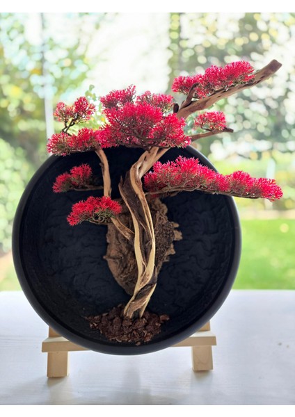 El Yapımı Driftwood Bonsai – Kırmızı Yapay Çiçekli Duvar Dekoru fırsatları
