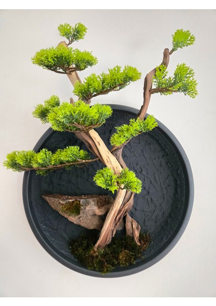 El Yapımı Driftwood Bonsai – Gerçek Ağaç Gövdeli Yeşil Duvar Dekoru