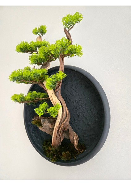 El Yapımı Driftwood Bonsai – Gerçek Ağaç Gövdeli Yeşil Duvar Dekoru modelleri