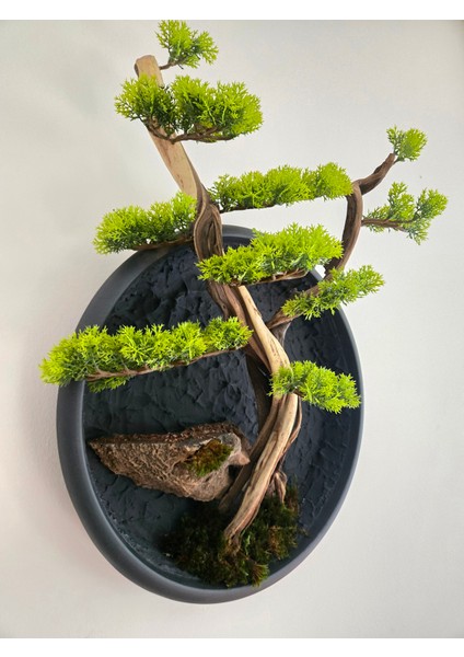 El Yapımı Driftwood Bonsai – Gerçek Ağaç Gövdeli Yeşil Duvar Dekoru fırsatları