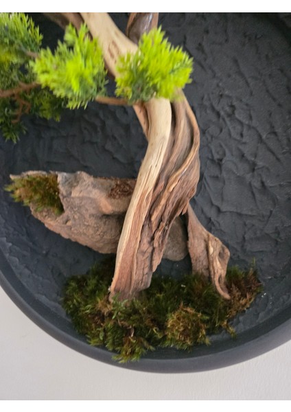 El Yapımı Driftwood Bonsai – Gerçek Ağaç Gövdeli Yeşil Duvar Dekoru indirimleri